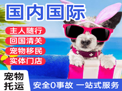 湘西边城航空快递国际宠物托运 【国